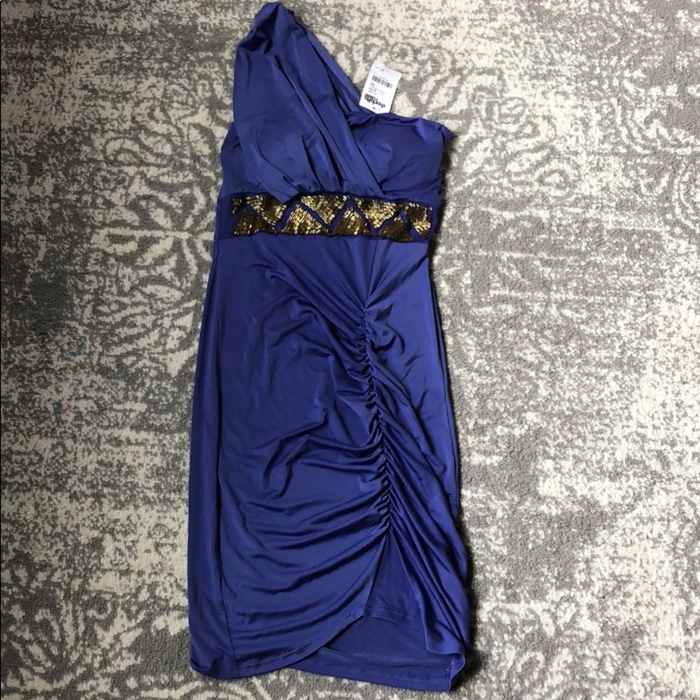 Gorgeous NWT Semi formal mini dress